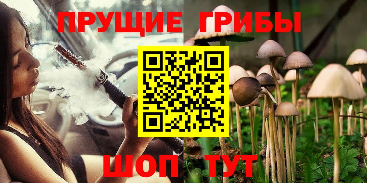 Королёв  купить  сайты  Вход с VPN  Псилоцибиновые грибы прущие грибы  Галлюциногенные грибы Psilocybe 