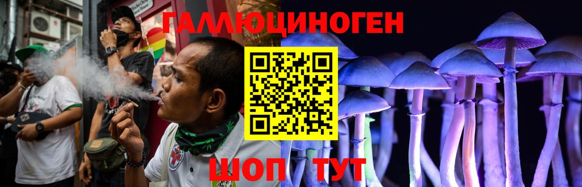 Псилоцибиновые грибы Psilocybe Королёв